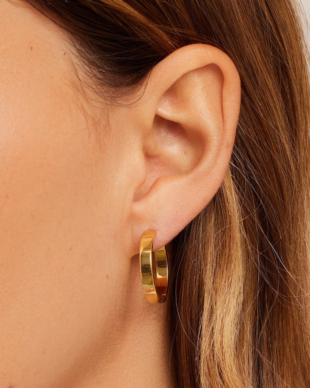 Gorjana leo on sale hoop earrings